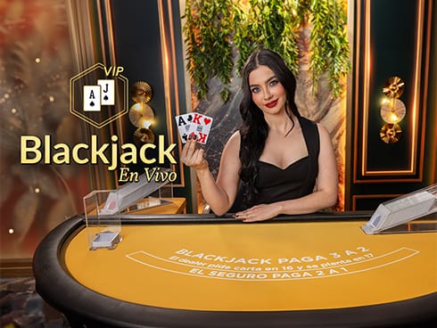 VIP Blackjack en Español 6 icon